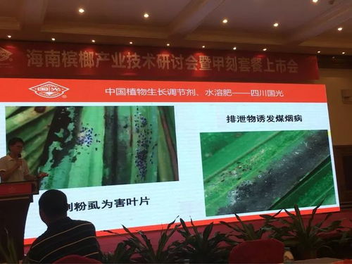 創(chuàng)新共贏 2018檳榔產(chǎn)業(yè)技術研討交流會暨技術推廣展望